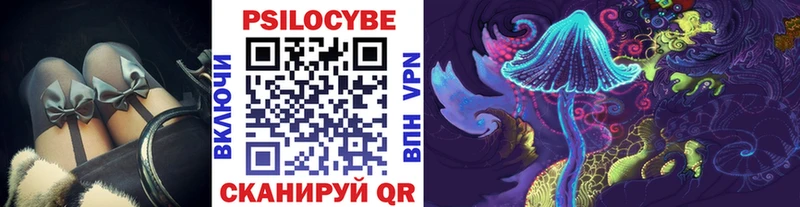 Купить закладки  Мещовск  Псилоцибиновые грибы Cubensis 